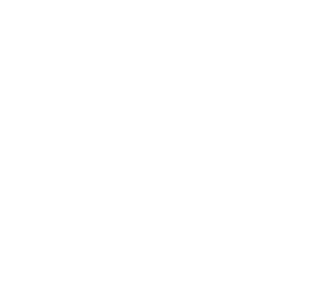 fine-logo